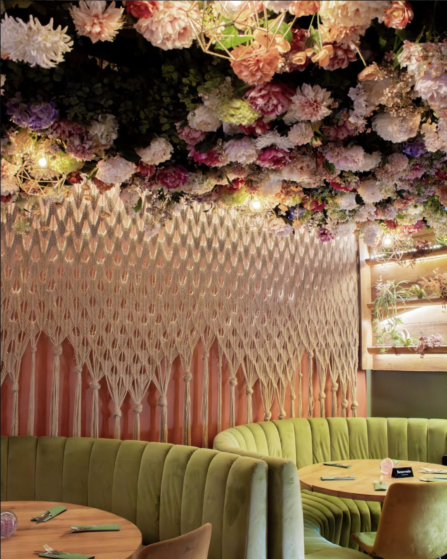 Bancos acolhedores com flores no teto